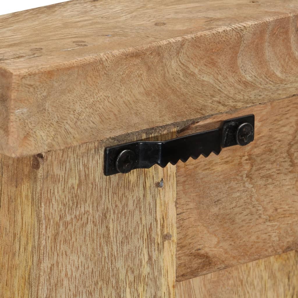 Coat Racks 2 Pcs Solid Wood Mango 38X100 Cm