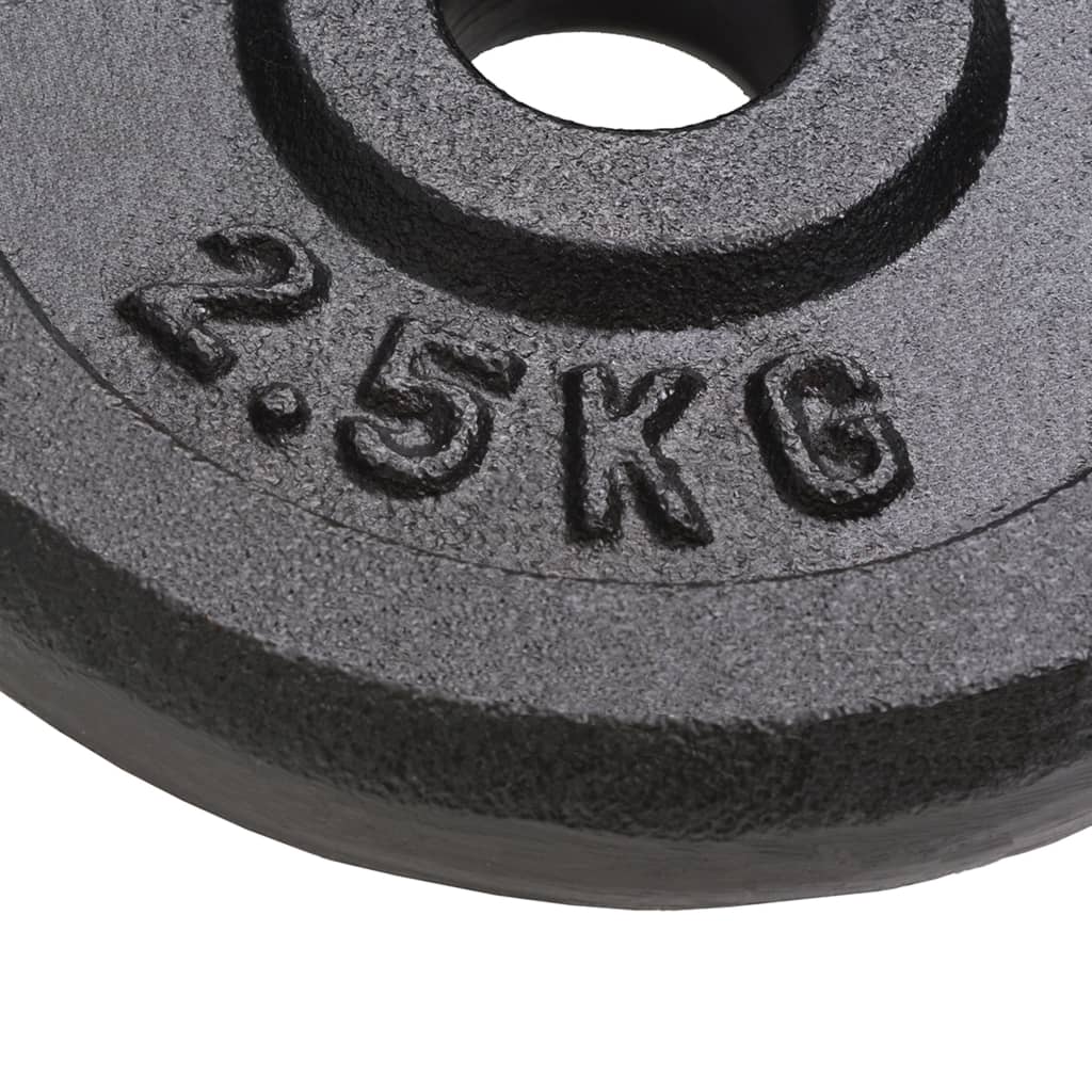 Weight Plates 8 Pcs Cast Iron