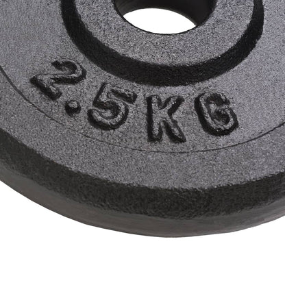 Weight Plates 8 Pcs Cast Iron