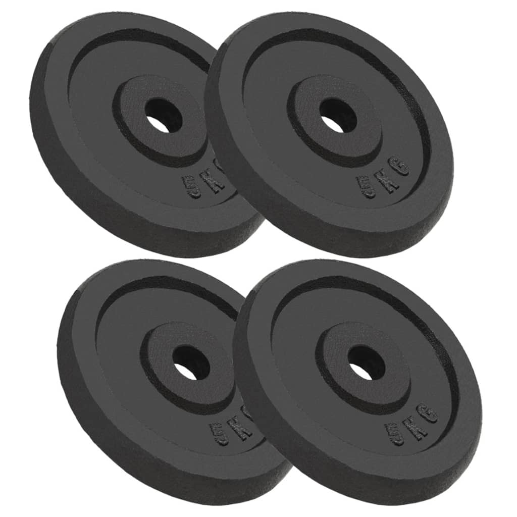 Weight Plates 8 Pcs Cast Iron