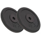 Weight Plates 8 Pcs Cast Iron