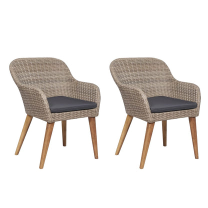 Outdoor Chairs With Cushions 2 Pcs Poly Rattan