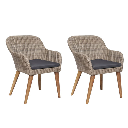 Outdoor Chairs With Cushions 2 Pcs Poly Rattan