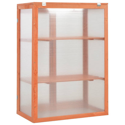 Greenhouse Wood 75X47X109 Cm