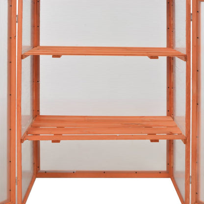 Greenhouse Wood 75X47X109 Cm