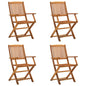 Folding Outdoor Chairs 2 Pcs Solid Acacia Wood