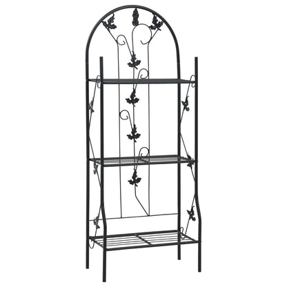 3-Layer Plant Rack Black 52X28X128 Cm Iron