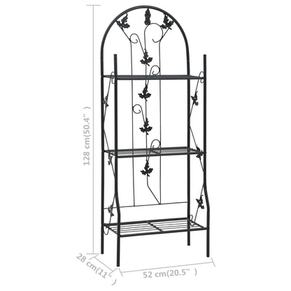 3-Layer Plant Rack Black 52X28X128 Cm Iron