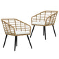 Garden Chairs With Cushions 2 Pcs Poly Rattan