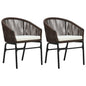 Garden Chairs 2 Pcs Anthracite Pe Rattan