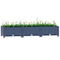 Raised Bed Polypropylene