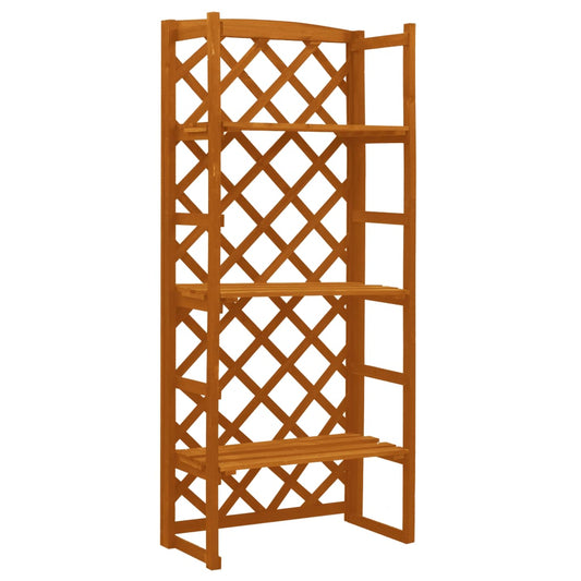 Plant Stand With Trellis 60X30X140 Cm Solid Firwood