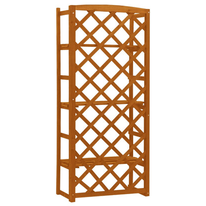 Plant Stand With Trellis 60X30X140 Cm Solid Firwood