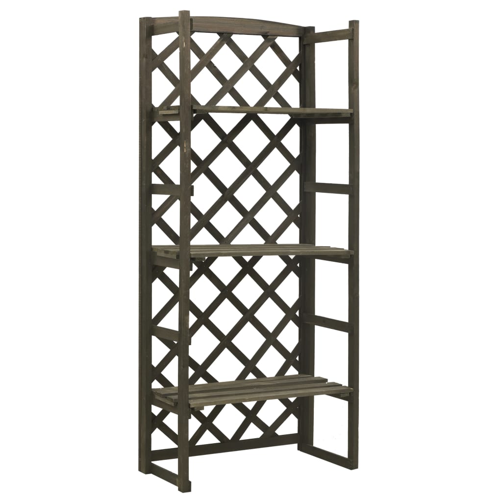 Plant Stand With Trellis 60X30X140 Cm Solid Firwood