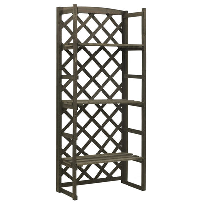 Plant Stand With Trellis 60X30X140 Cm Solid Firwood