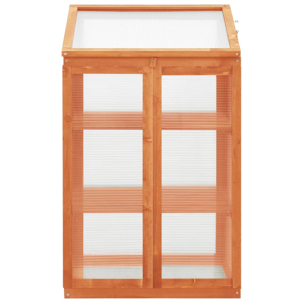 Greenhouse 60X45X100 Cm Firwood