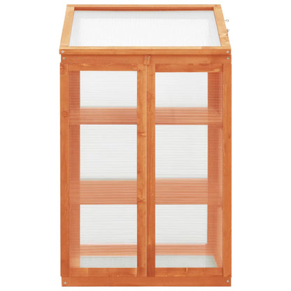Greenhouse 60X45X100 Cm Firwood