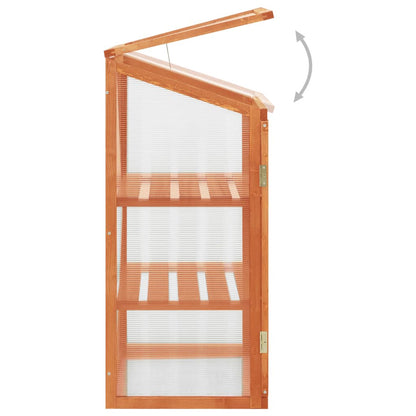 Greenhouse 60X45X100 Cm Firwood