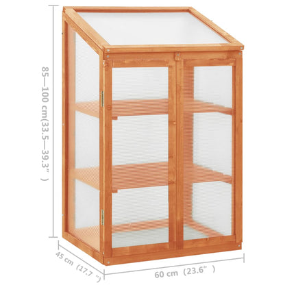 Greenhouse 60X45X100 Cm Firwood