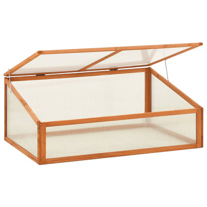 Greenhouse 100X65X40 Cm Firwood
