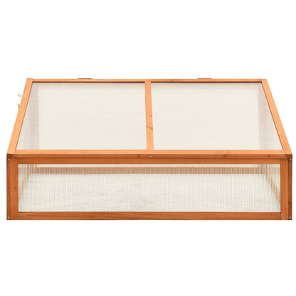 Greenhouse 100X65X40 Cm Firwood