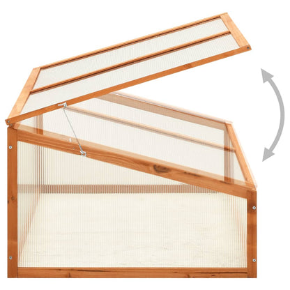 Greenhouse 100X65X40 Cm Firwood
