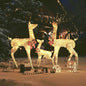 Reindeer Family Christmas Decoration 201 Leds