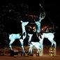 Reindeer Family Christmas Decoration 201 Leds