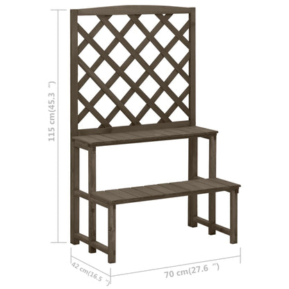 Plant Stand With Trellis 70X42X115 Cm Solid Fir Wood