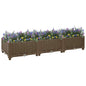 Raised Bed Polypropylene