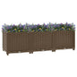Raised Bed Polypropylene