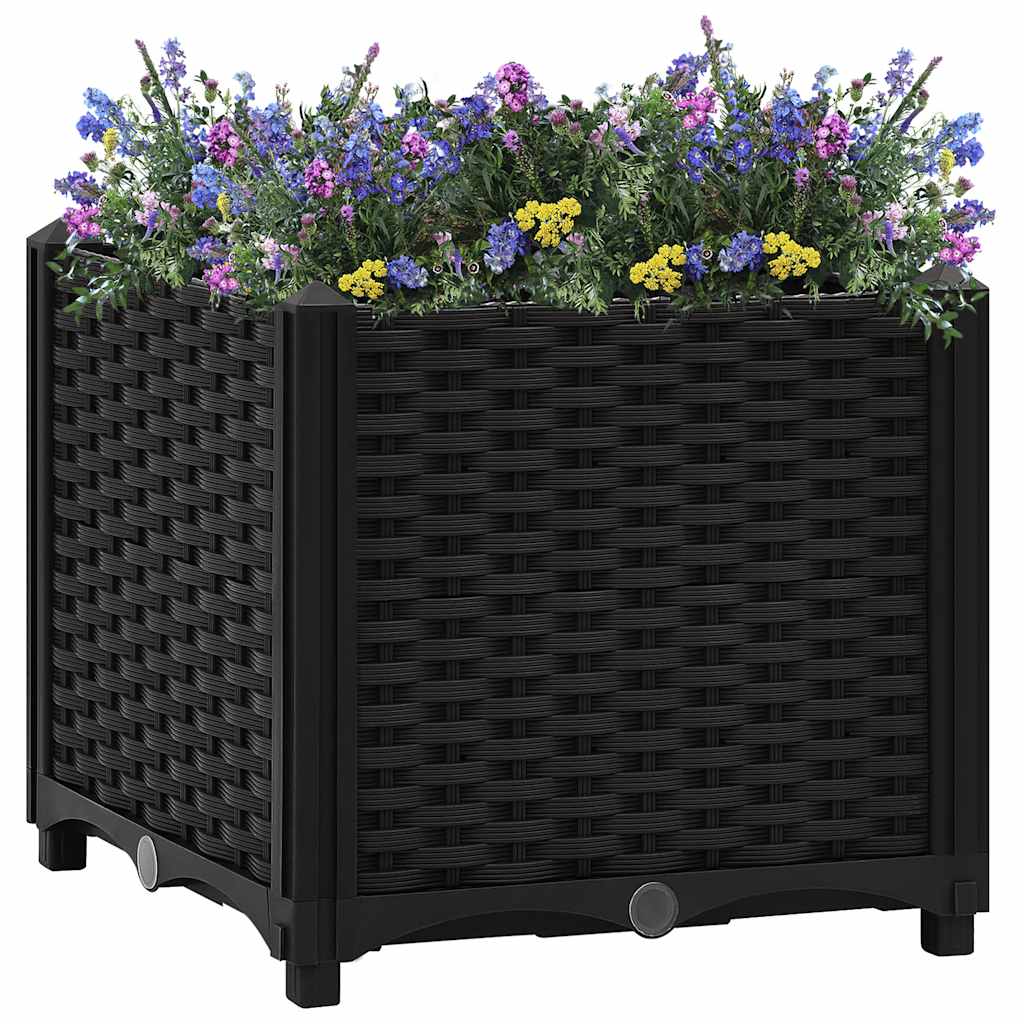 Raised Bed Polypropylene