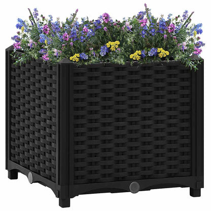 Raised Bed Polypropylene