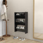 Wall Shoe Cabinets 2 Pcs 60X18X Engineered Wood High Gloss Black