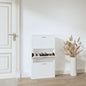 Wooden Shoe Cabinet With 5 Compartments