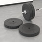 Weight Plates 2 X 10 Kg