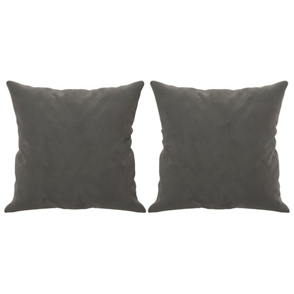 Throw Pillows 2 Pcs 40X40 Cm Velvet
