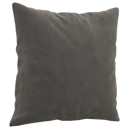 Throw Pillows 2 Pcs 40X40 Cm Velvet