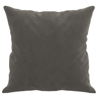 Throw Pillows 2 Pcs 40X40 Cm Velvet