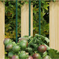 Garden Plant Stakes 30 Pcs Green Steel