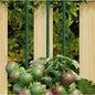 Garden Plant Stakes 30 Pcs Green Steel