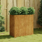 Garden Raised Bed Corten Steel
