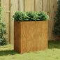 Garden Raised Bed Corten Steel