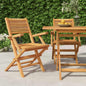 Folding Garden Chairs 2 Pcs 55X62X90 Cm Solid Wood Teak