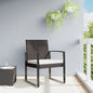 Garden Dining Chairs 2 Pcs Pp Rattan