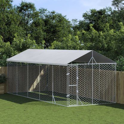 Outdoor Dog Kennel With Roof Silver Galvanised Steel