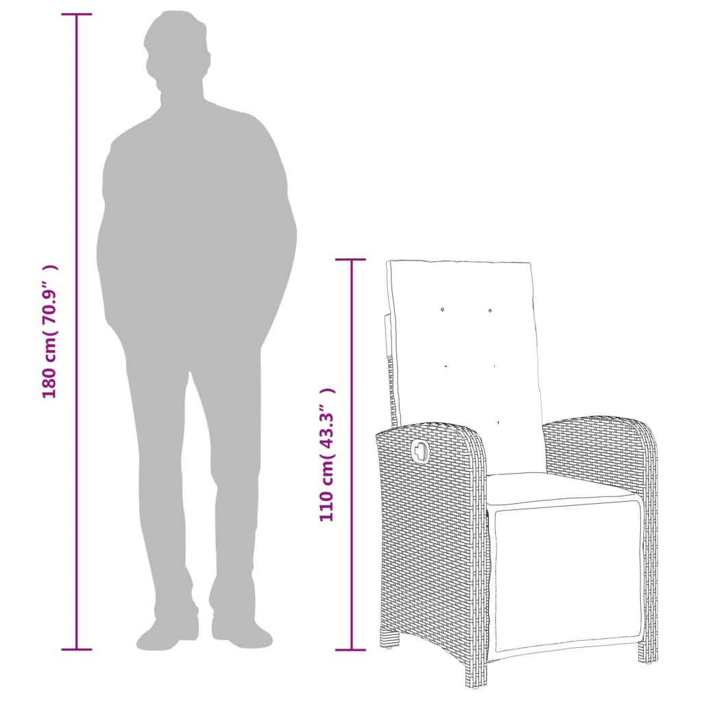 Reclining Garden Chair With Footrest Poly Rattan