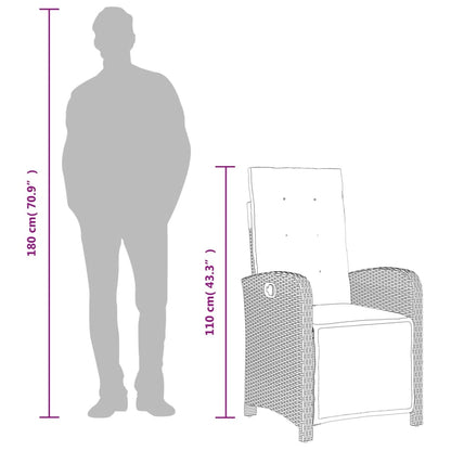 Reclining Garden Chair With Footrest Poly Rattan