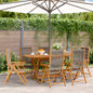 Garden Chairs 2 Pcs Solid Wood Acacia And Polypropylene
