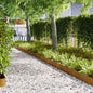 Lawn Edgings 10 Pcs Brown 100 X 0.5 X 20 Cm